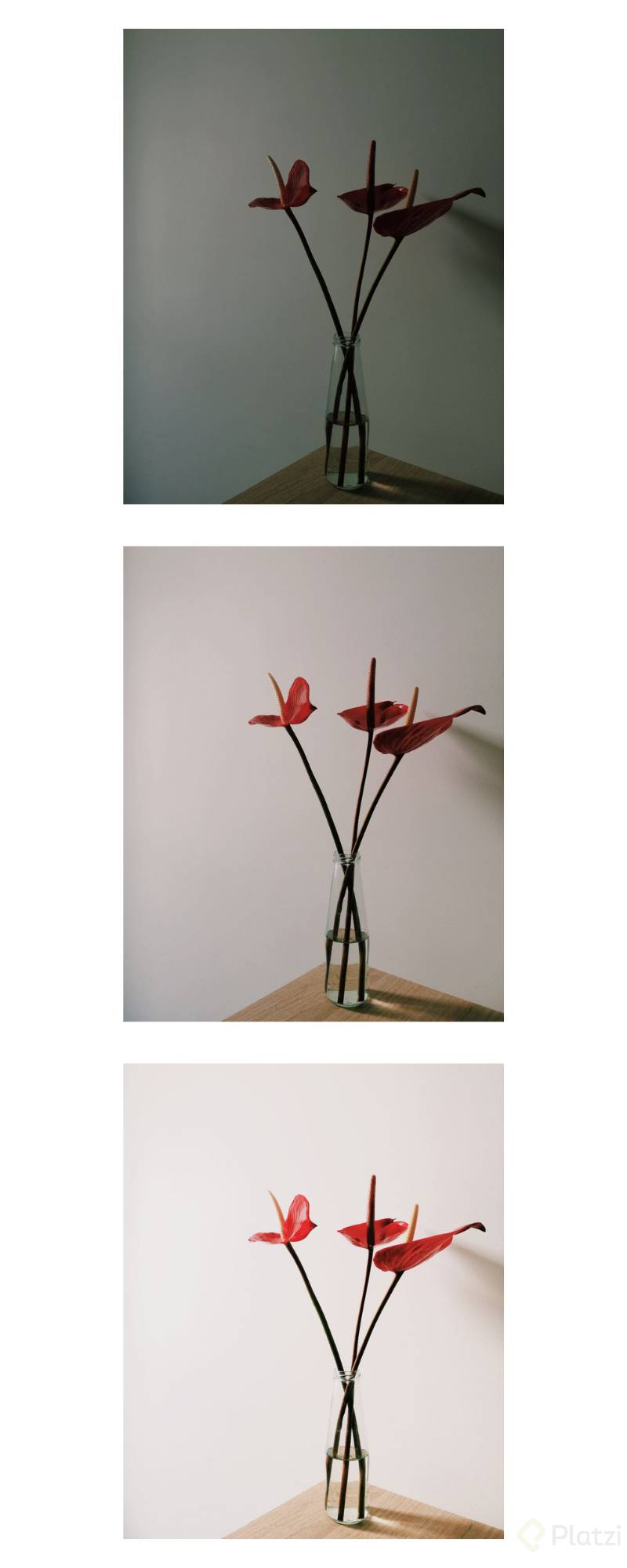 fotografía sub y sobre exposición Platzi (1).png