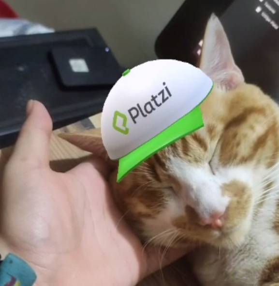 gatito con gorra.png