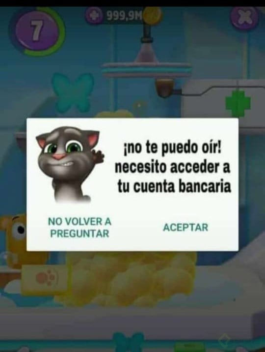 gato.png