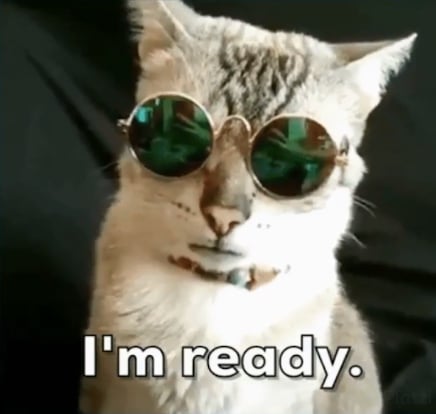 gato.png