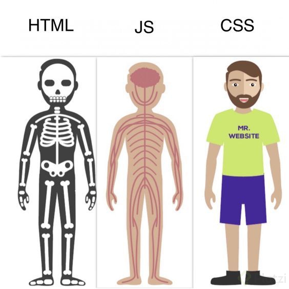 html-js-css.jpg