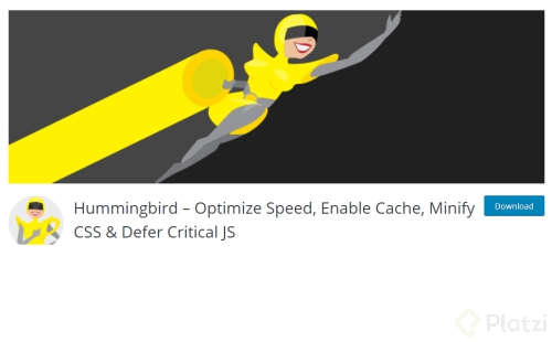 hummingbird.png