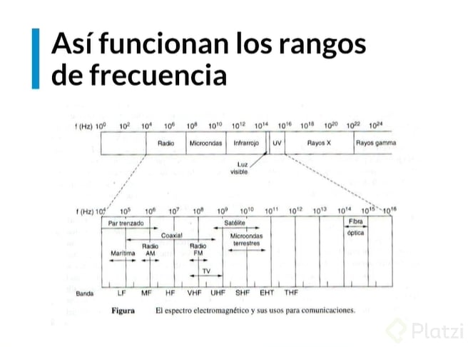 image (17).png