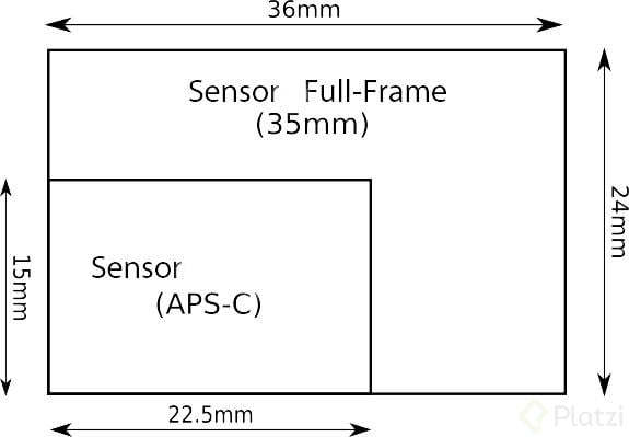 image1.jpg