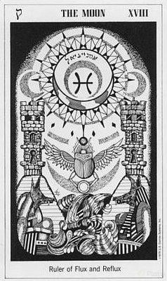 image19.jpg