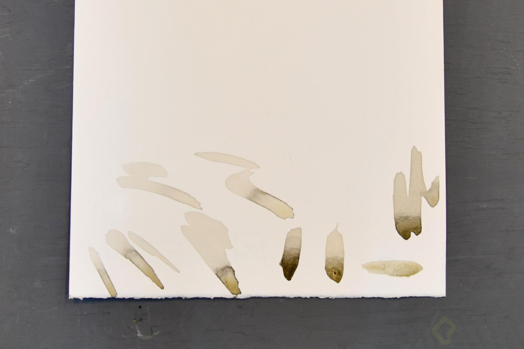 image6.jpg
