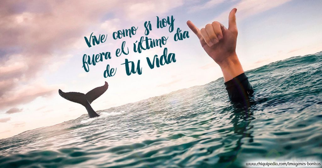imagenes-vida09.jpg