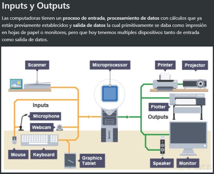 Print input 1