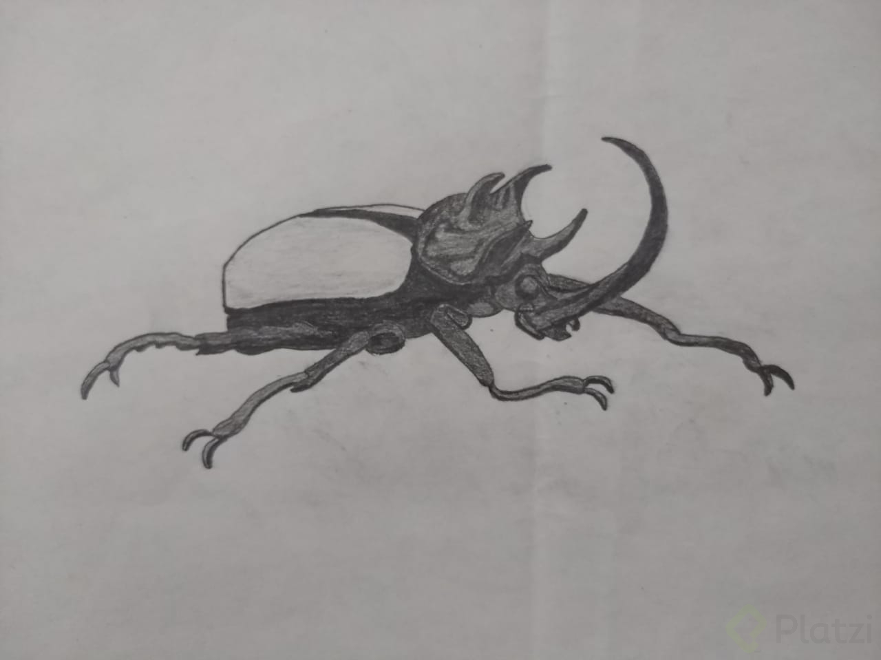 lápices y sombras.jpg