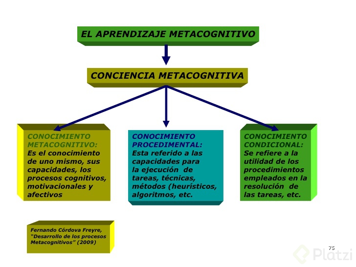 Metacognición Para La Larga Vida Del Aprendizaje - Platzi