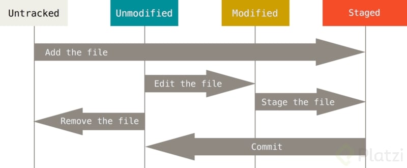 lifecycle.png
