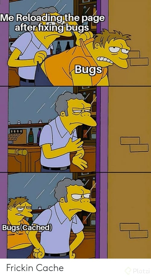 me-reloading-the-page-after-fixing-bugs-bugs-bugs-cached-frickin-65392374.png