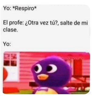 meme.jpg