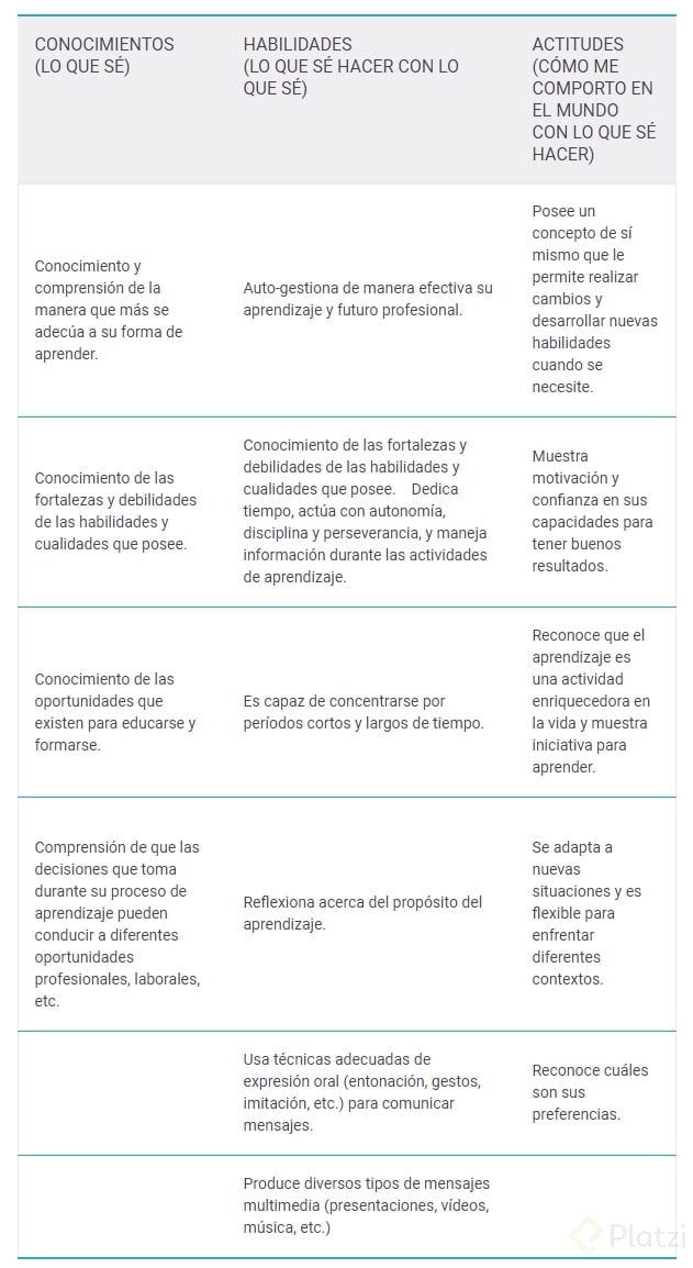 metacognición.png