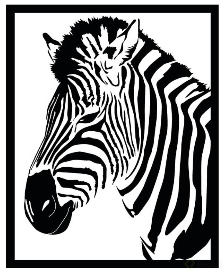 mi zebra ilustra.png