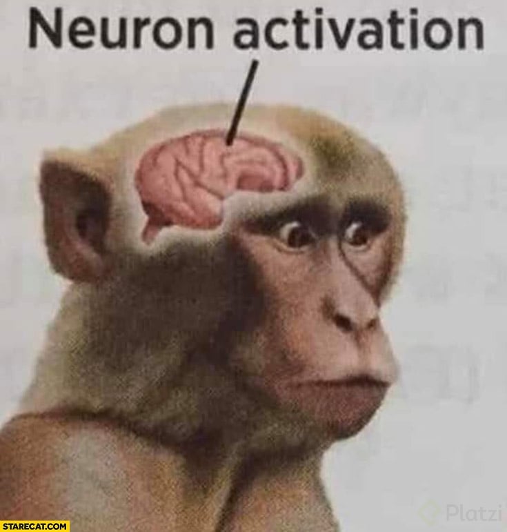 monkey-brain-neuron-activation-meme.jpg