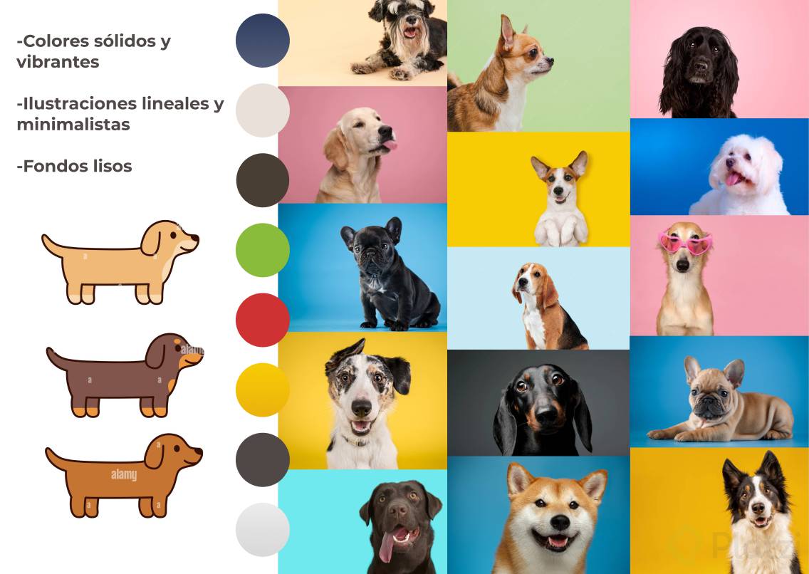 mood board tindog.PNG