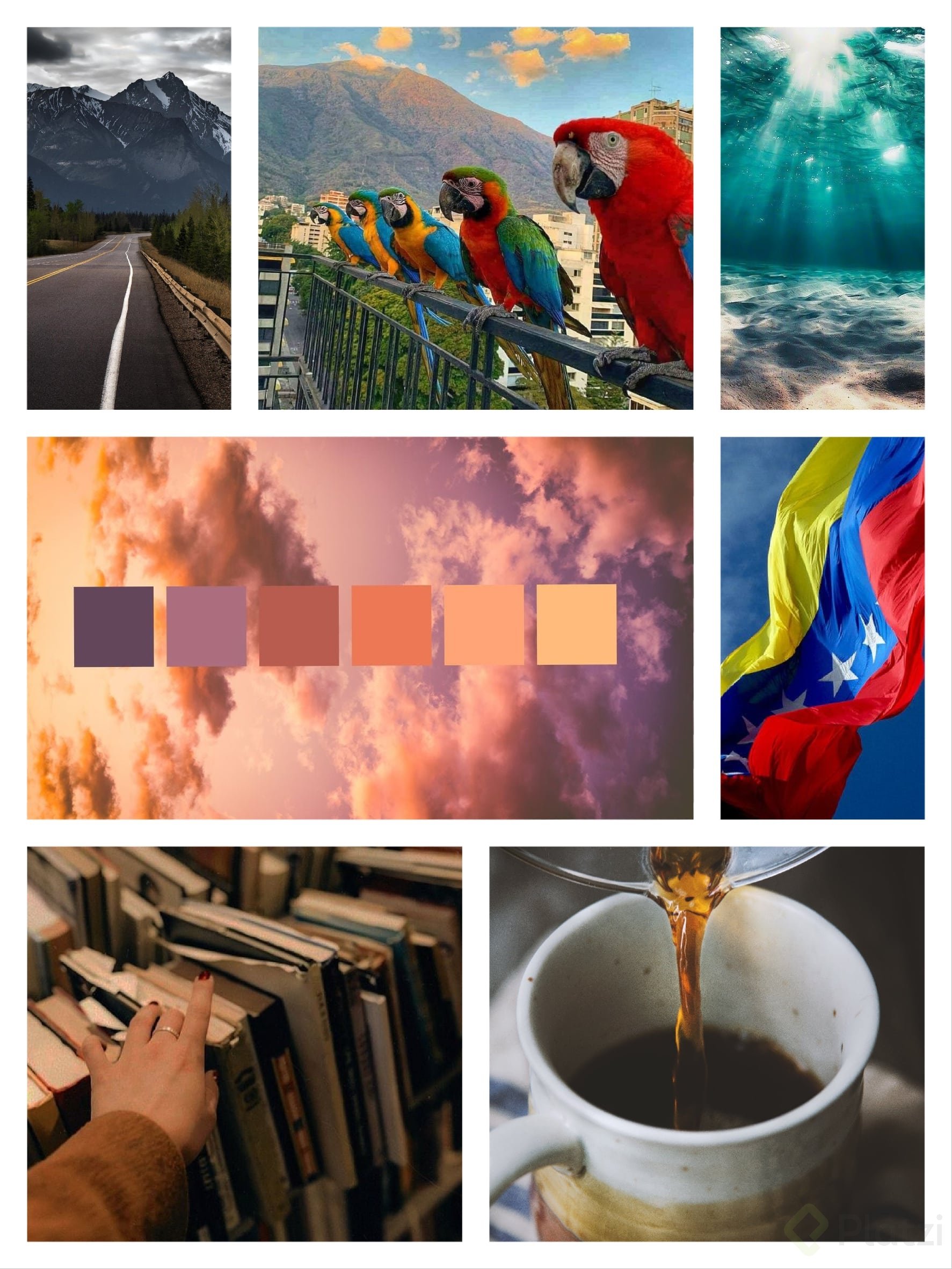 moodboard.jpg