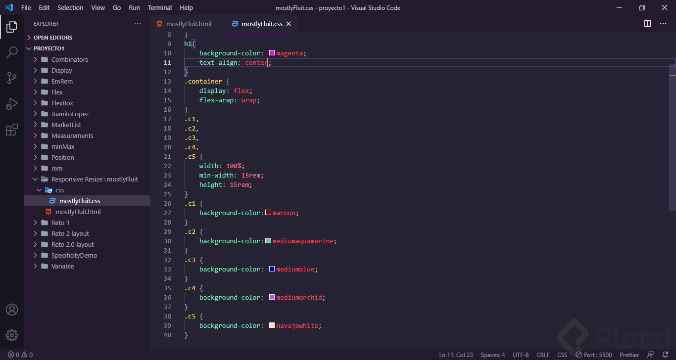 mostlyFluit.css - proyecto1 - Visual Studio Code 1_23_2021 1_26_10 PM.png
