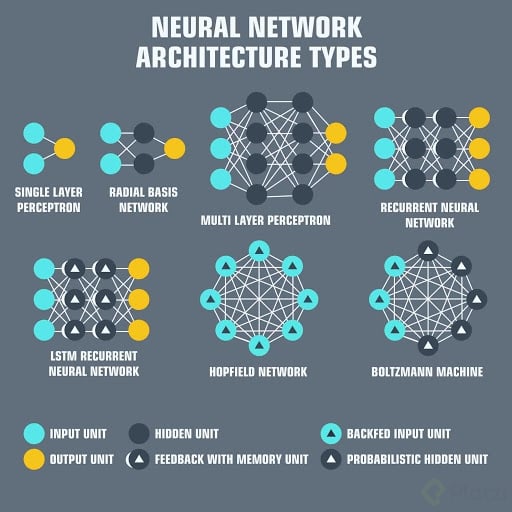 neuronal networks.jpg