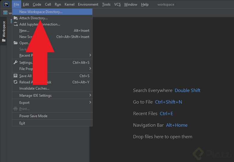 new_workspace_directory.png