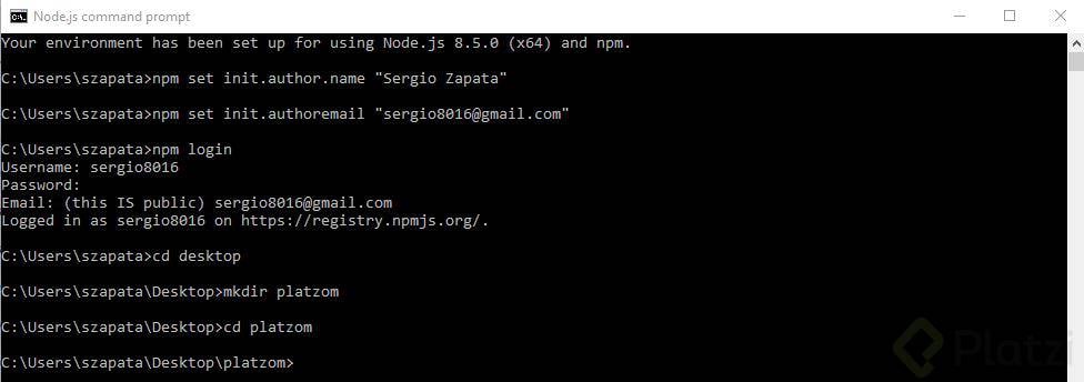 node.js log infor.JPG