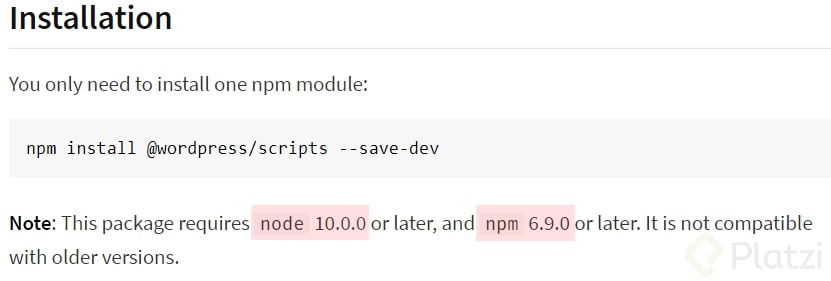 npm_1.jpg