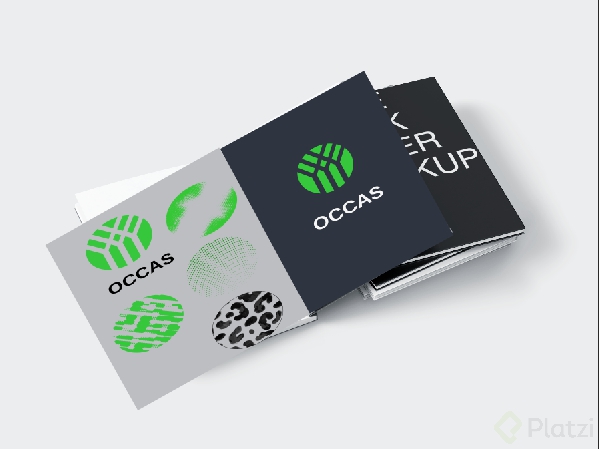 occas en revista.png