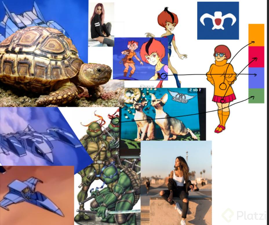 paleta.png