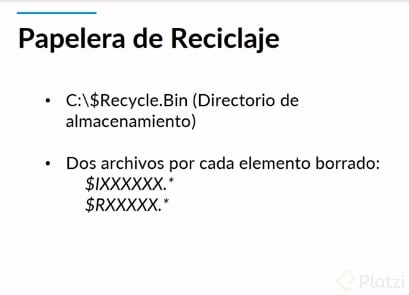 papelera_de_reciclaje_explicado.PNG