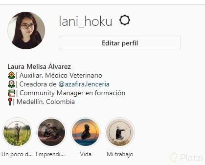 perfil ig.png