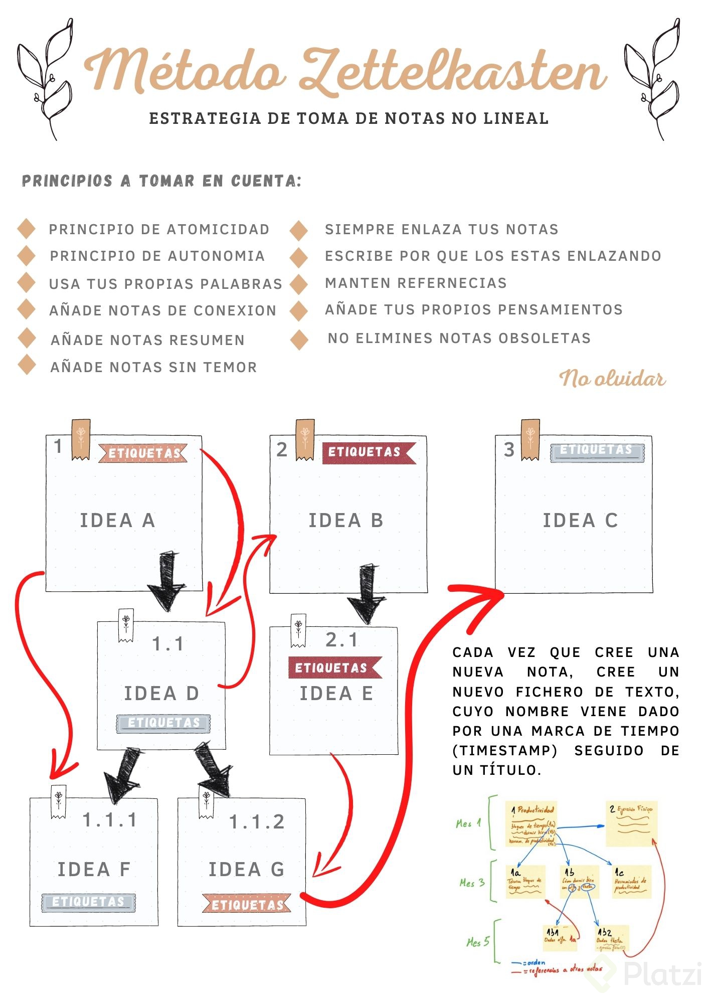 planificador semanal minimalista delicado marron.jpg
