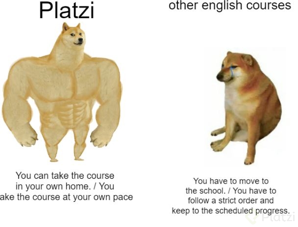 platzi 5.JPG