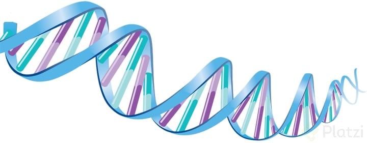 png_dna_87969.png