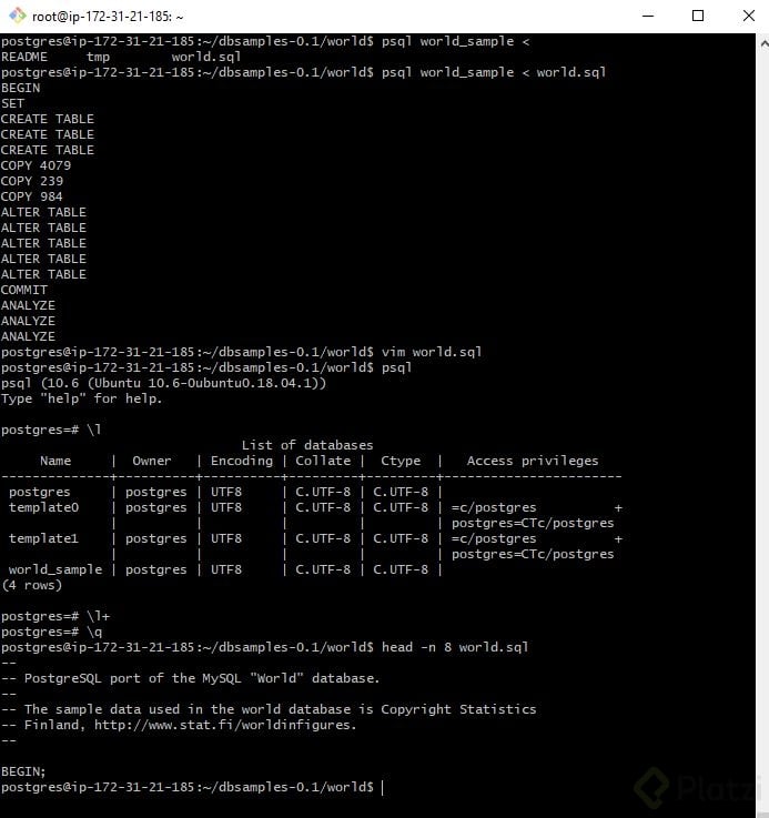 Generar Backup De Base De Datos - Platzi