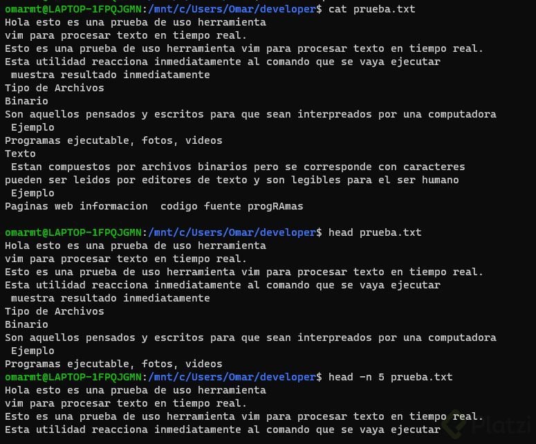 practica 1.JPG