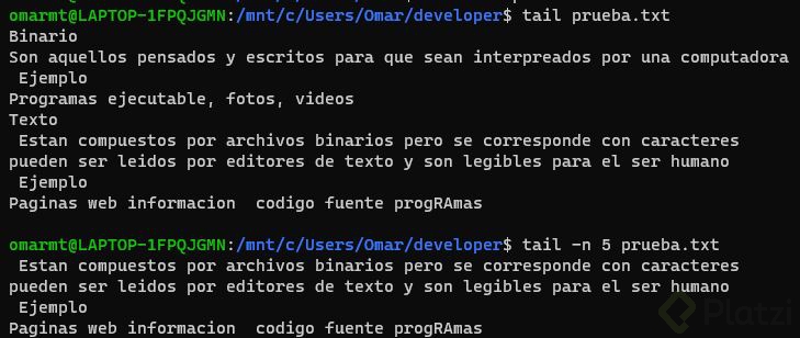practica 2.JPG