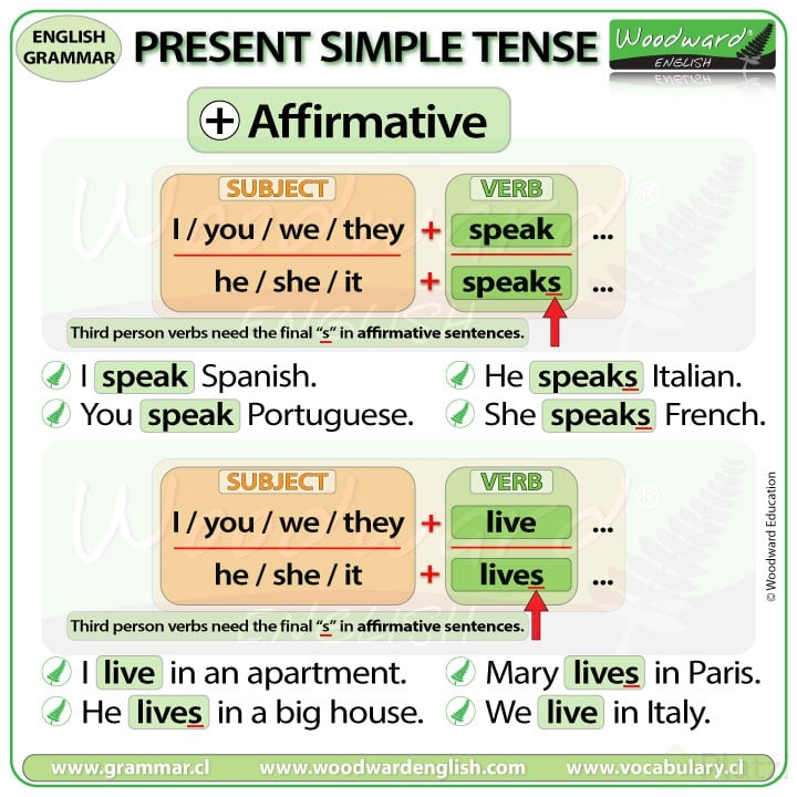present-simple-tense-affirmative-sentences.jpg