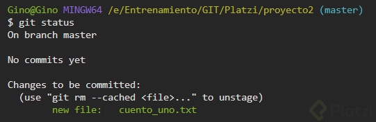 primeraddycommit.PNG