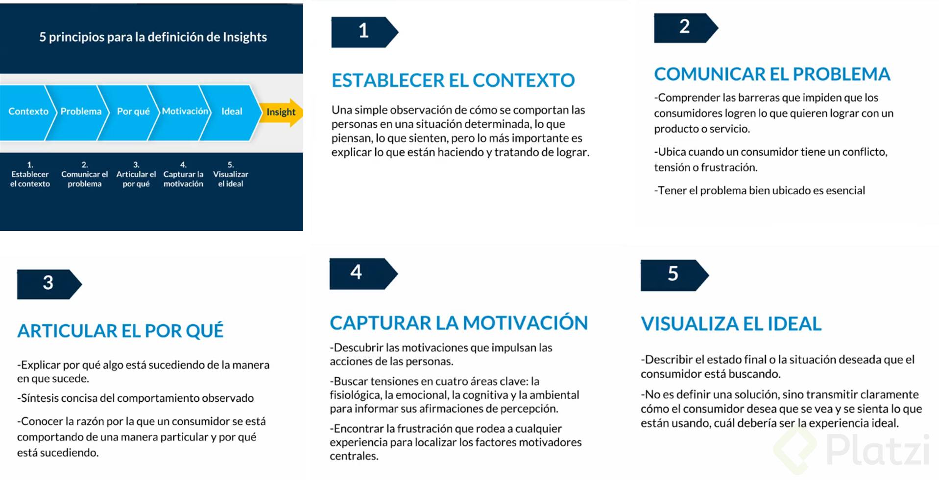 principiosInsight.png
