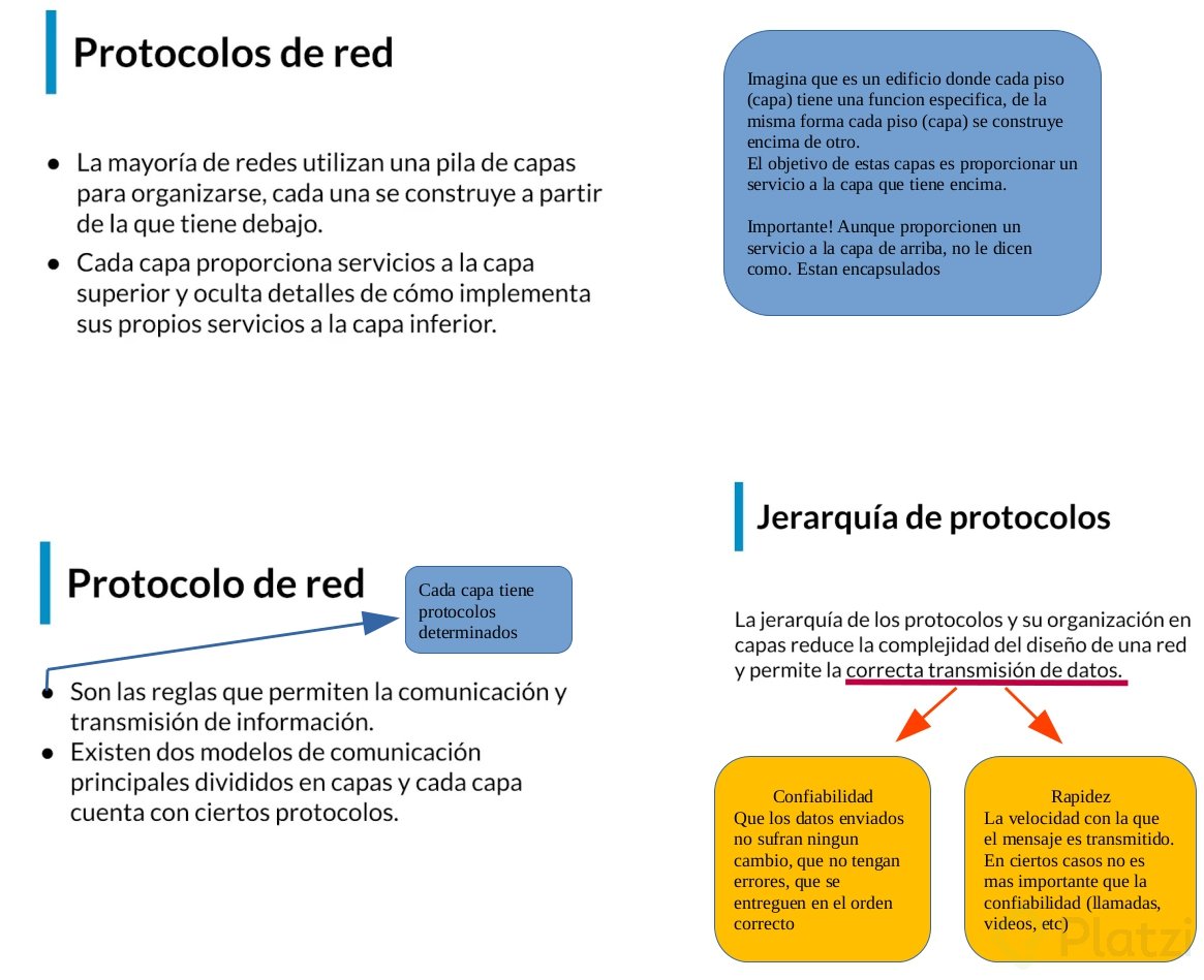 protocolos-red.png