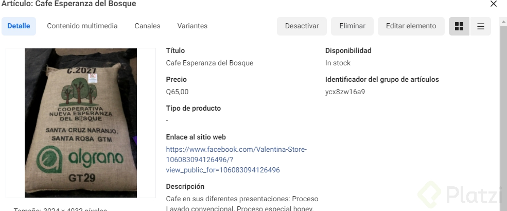 prueba catalogo.png