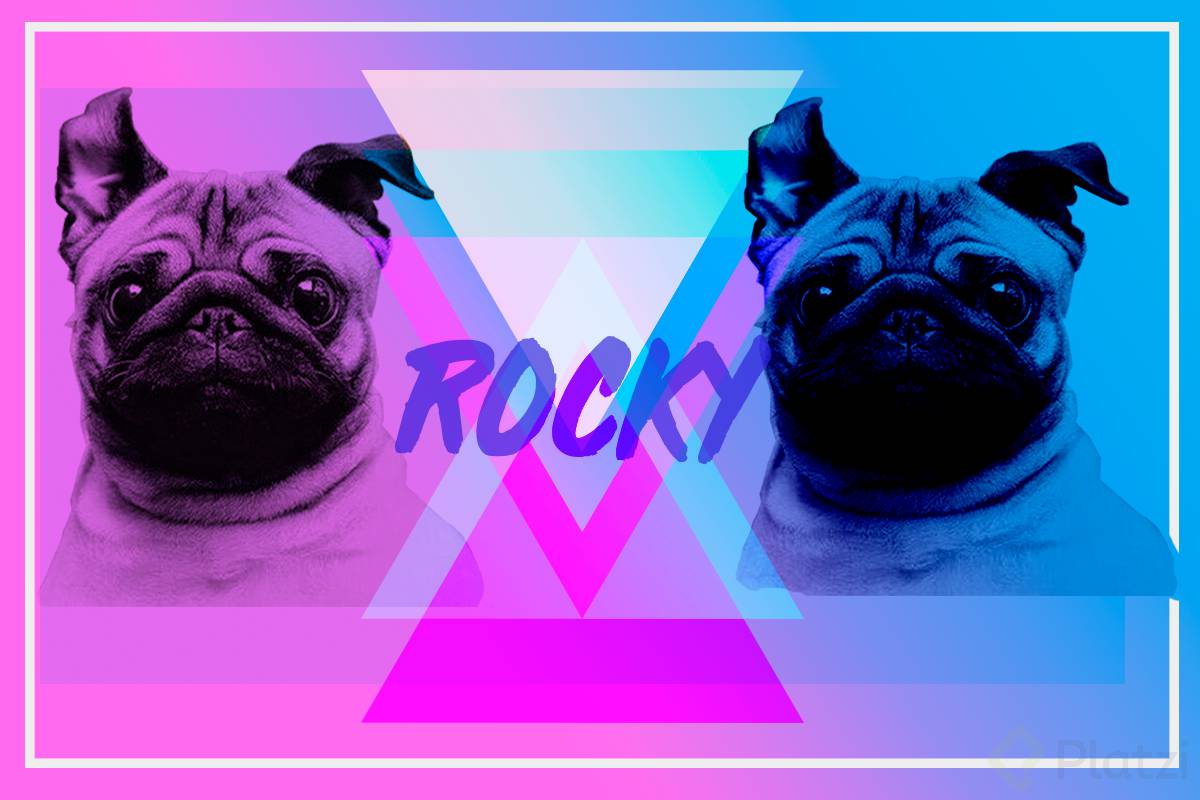 rocky.png