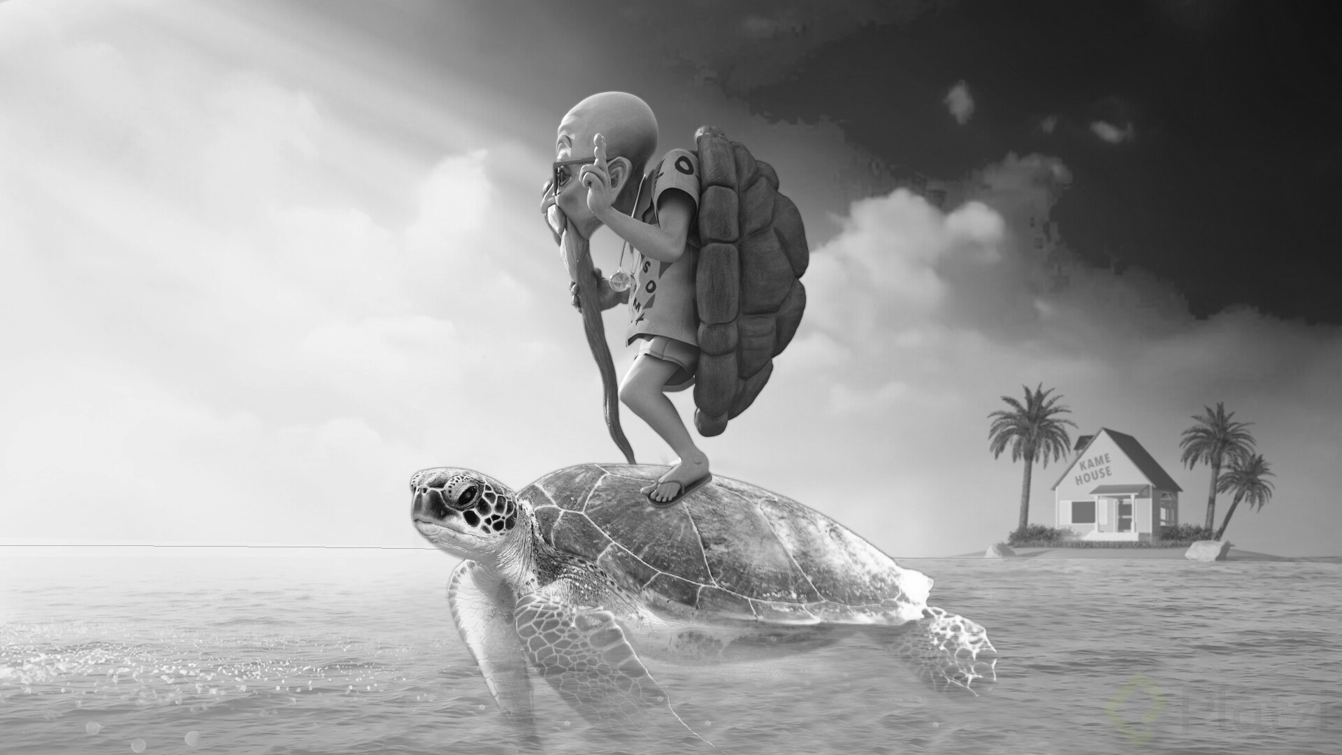 roshi.jpg