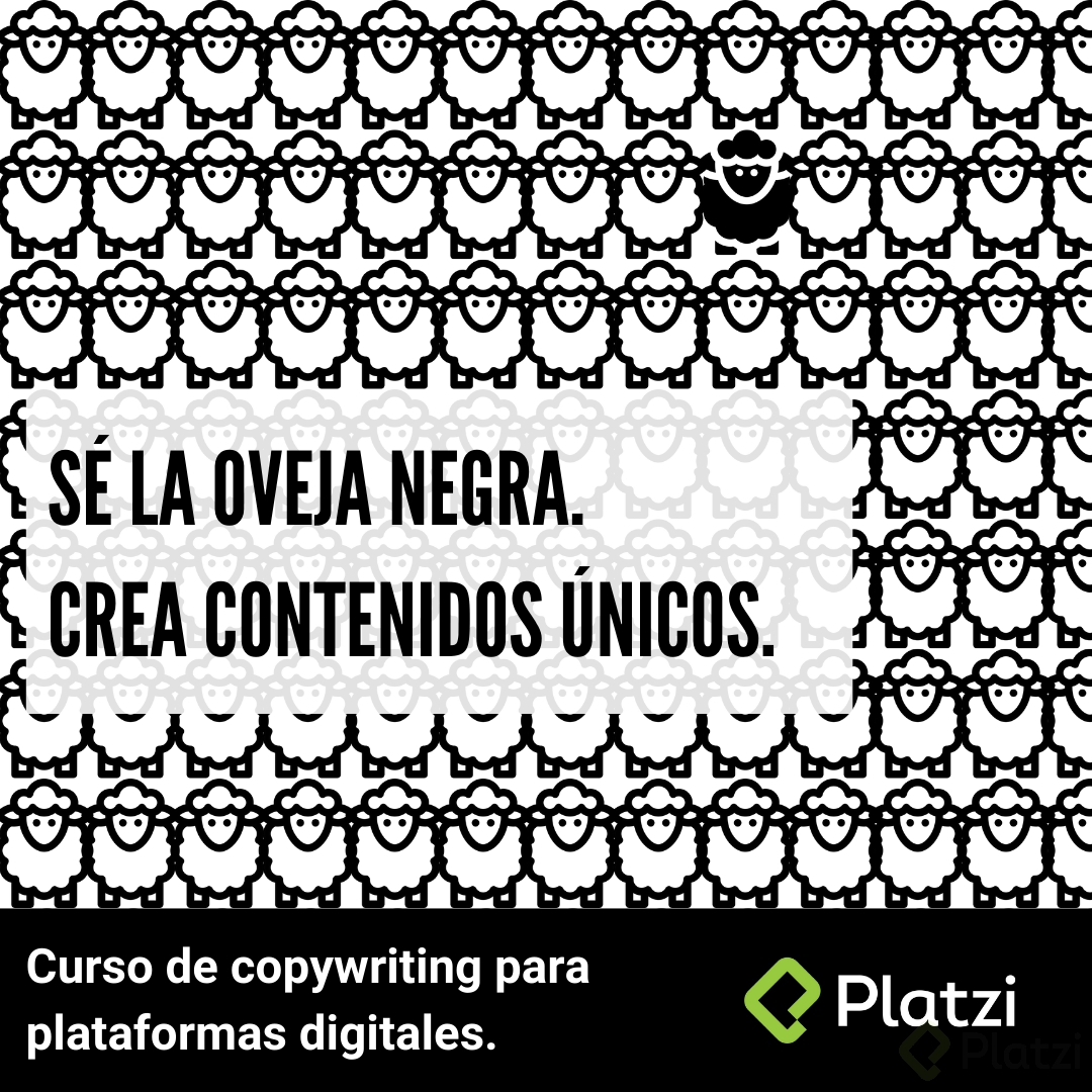 sé la oveja negra.png