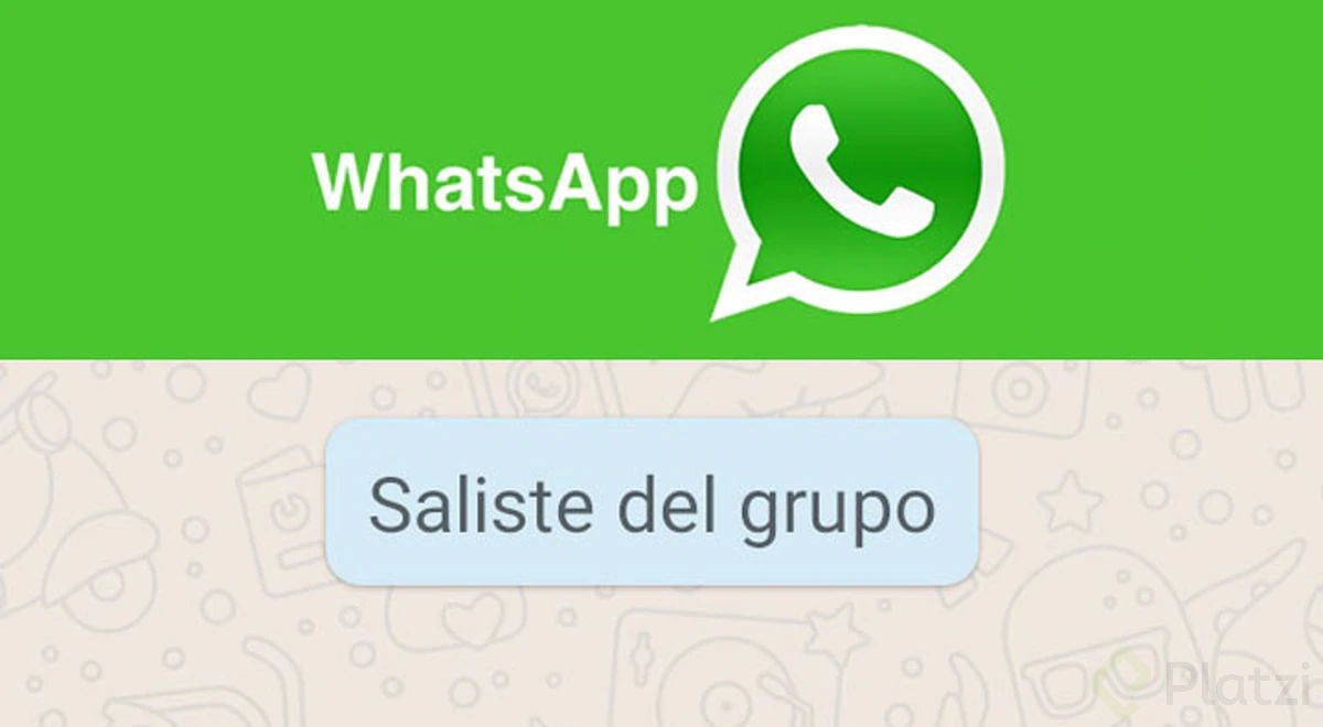 saliste chat.jpg