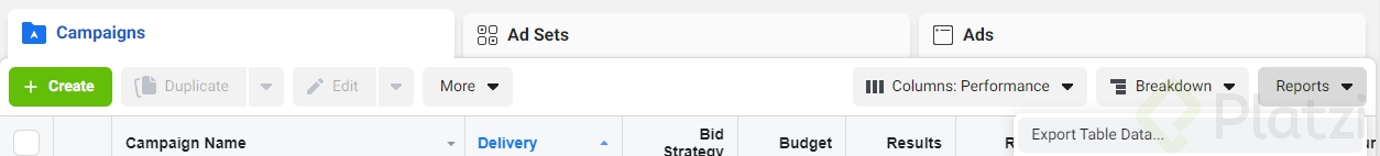 screen reportes facebook ads.png