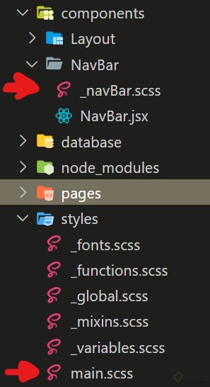 scss.jpg