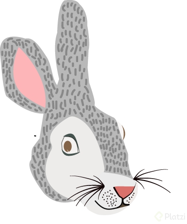 segunda fase de conejo.png