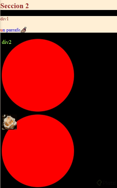 selector important.PNG
